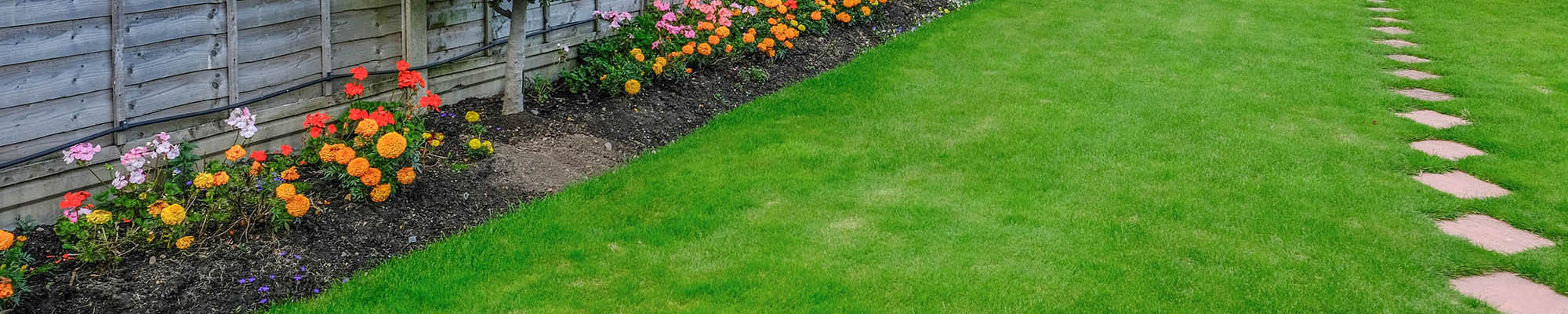 Lawn Turf Reviews