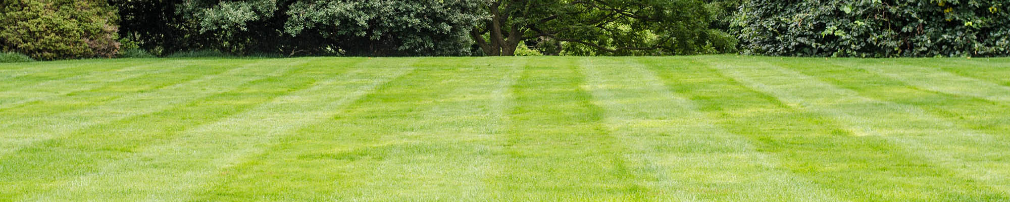 Lawn Turf Supplies In Mansfield