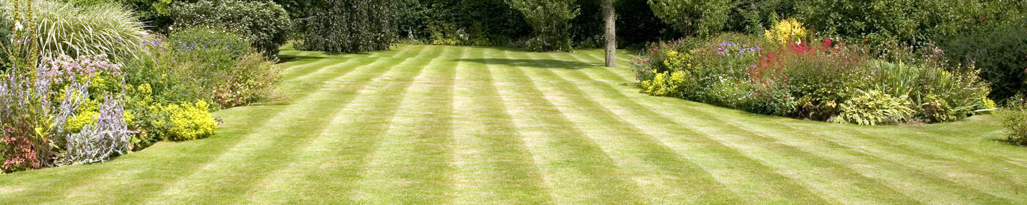 Lawn Turf Supplies In Nottingham