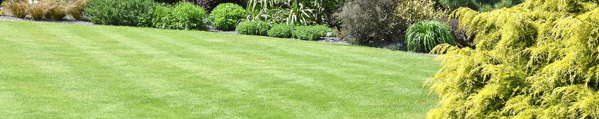 Contact Abbeydale Lawn Turf