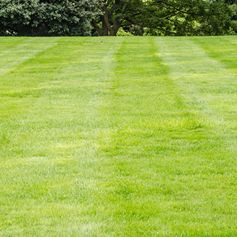 Turf Supplies Mansfield