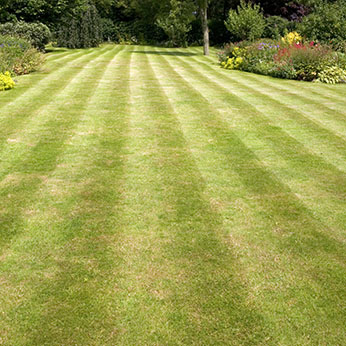 Turf Supplies Nottingham